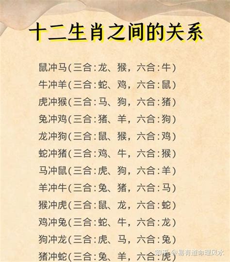 生肖 相沖|十二生肖貴人；三合 (相生)、六合 (相合)、三會、相沖 (六沖)、相。